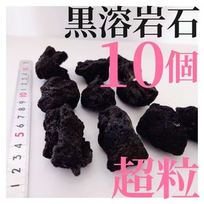 【希少】黒溶岩石 10個 【超粒】☆アクアリウム、テラリウム、コケリウムに最適