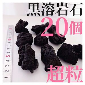 【希少】黒溶岩石 20個 【超粒】☆アクアリウム、テラリウム、コケリウムに最適