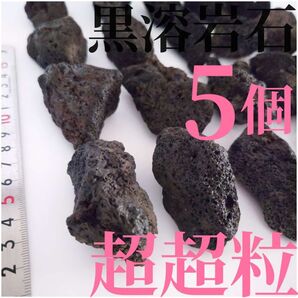 【希少】黒溶岩石 5個 【超超粒】☆アクアリウム、テラリウム、コケリウムに最適