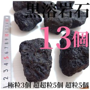 黒溶岩石 13個 【極粒3超超5超5】☆アクアリウム、テラリウム、苔リウムに最適