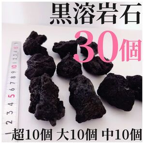 黒溶岩石 30個【超10大10中10】☆アクアリウム、テラリウム、苔リウムに最適