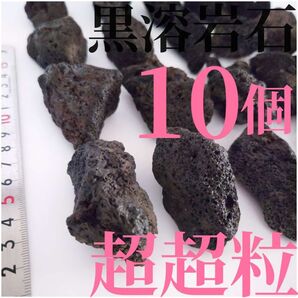 黒溶岩石 超超粒10個 ☆アクアリウム、テラリウム、コケリウムに最適