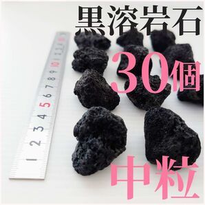 【希少】黒溶岩石 中粒30個☆アクアリウム、テラリウム、コケリウムに最適