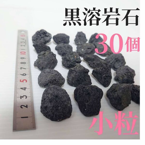 【希少】黒溶岩石 30個 【小粒】☆アクアリウム、テラリウム、コケリウムに最適