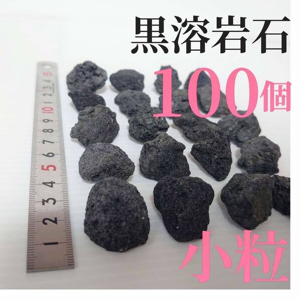 【希少】黒溶岩石 100個 【小粒】☆アクアリウム、テラリウム、コケリウムに最適
