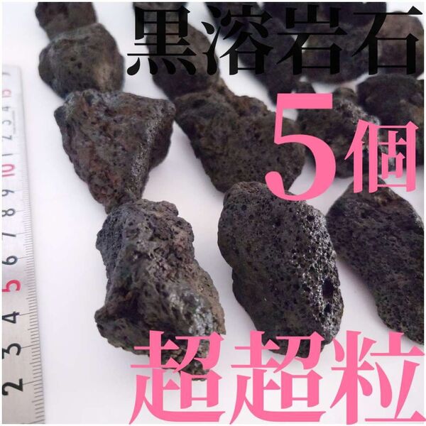 【希少】黒溶岩石 5個 【超超粒】☆アクアリウム、テラリウム、コケリウムに最適