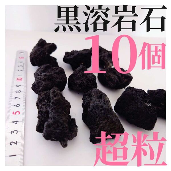 【希少】黒溶岩石 10個 【超粒】☆アクアリウム、テラリウム、コケリウムに最適
