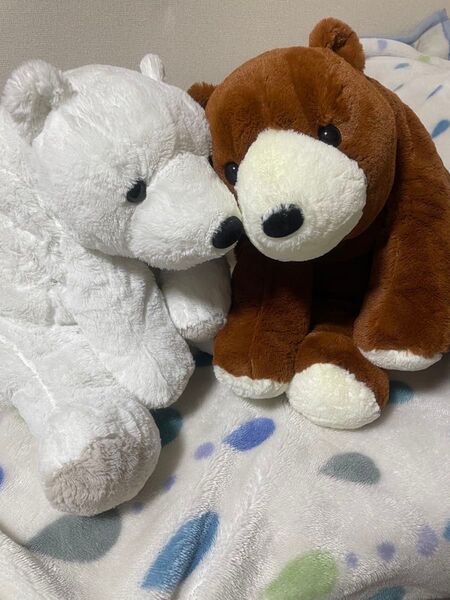 くたくたくまさんのBIGぬいぐるみ2点セット