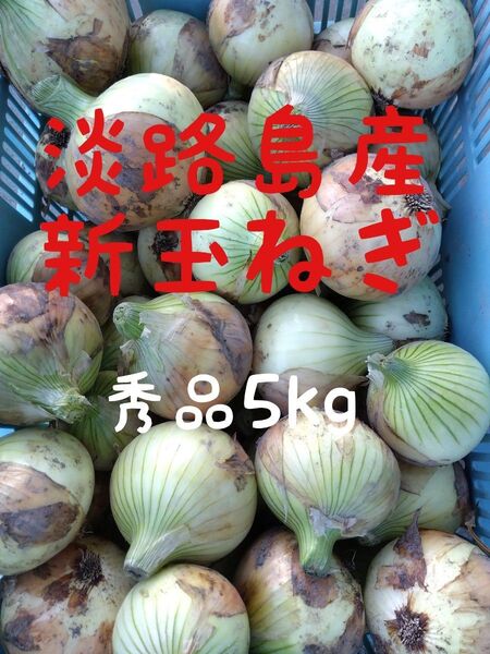 淡路島産新玉ねぎ◎秀品5kg◎七宝
