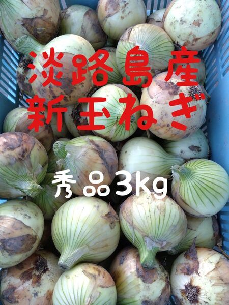 淡路島産新玉ねぎ◎秀品3kg◎七宝