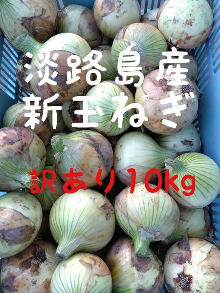 淡路島産新玉ねぎ◎訳あり10kg◎七宝