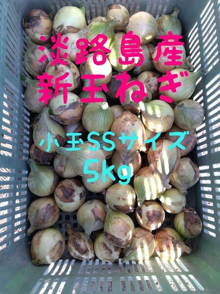 淡路島産新玉ねぎ◎SSサイズ5kg◎