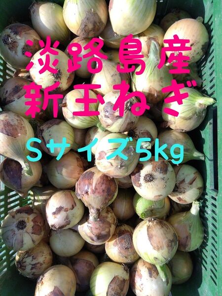 淡路島産新玉ねぎ◎Sサイズ5kg◎