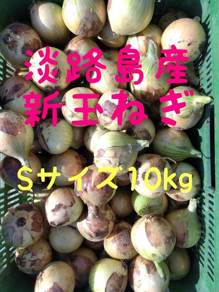 淡路島産新玉ねぎ◎Sサイズ10kg◎七宝