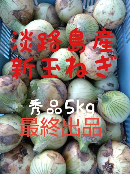 淡路島産新玉ねぎ◎秀品5kg◎七宝