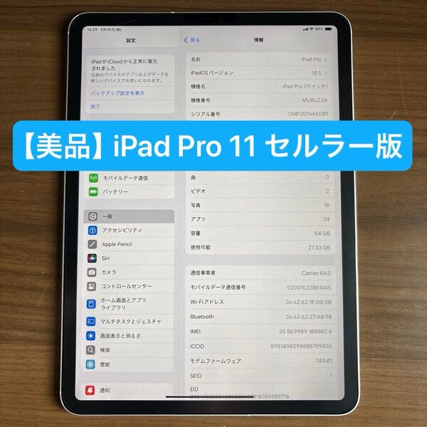 【美品】iPad Pro 11インチ 64GB Wi-Fi+Cellular SIMロック解除済み