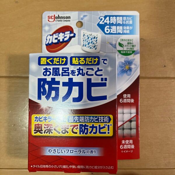 ジョンソン お風呂丸ごと防カビ 1個