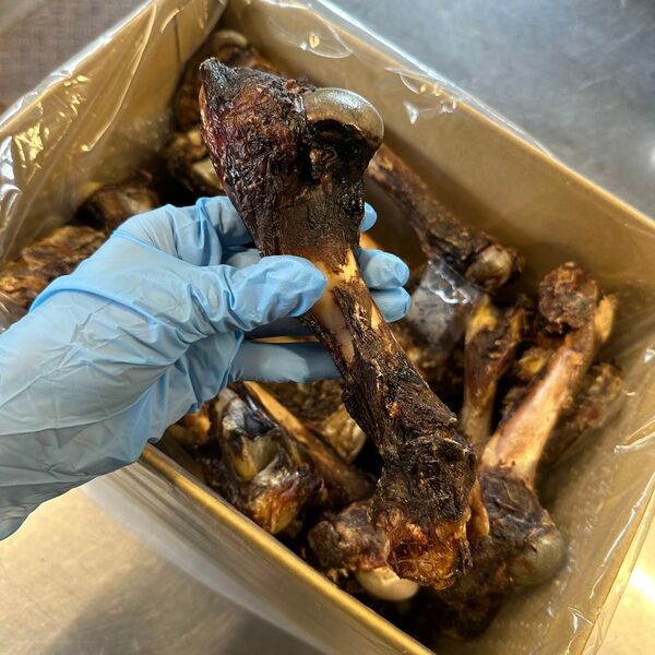 鹿の大腿骨 5本★歯の健康 ストレスケア 低カロリー カルシウム 肉付き 犬おやつ 手作り 無添加おやつ 山梨 デンタルケア