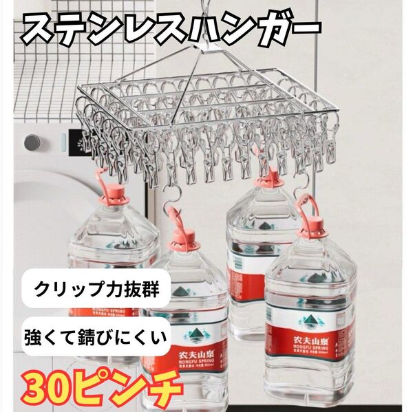ピンチハンガー 洗濯グッズ 30ピンチ ハンガー ステンレス 洗濯バサミ