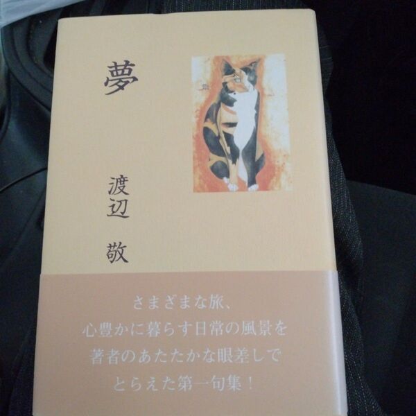 句集 夢 平成15年 渡辺敬 ISBN4025848129