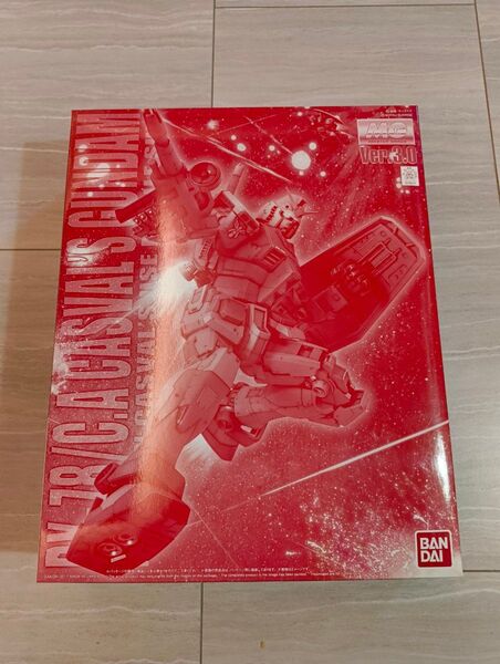 赤いガンダム MG キャスバル専用ガンダム ver.3.0