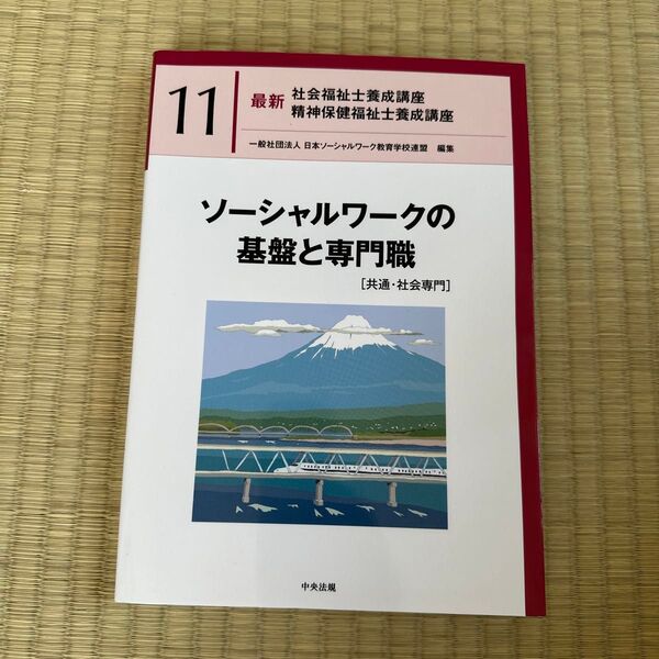 ソーシャルワークの基盤と専門職 社会福祉士養成講座 精神保健福祉士養成講座