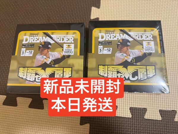 ドリームオーダー 球団ブースター 福岡ソフトバンクホークス 制覇せし鷹軍 セット