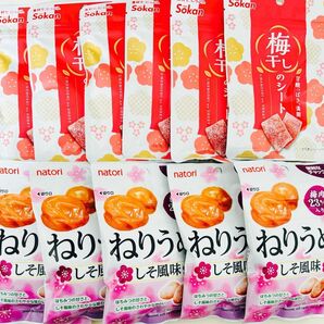 壮関 梅干しのシート・なとり ねりうめ しそ風味 11袋