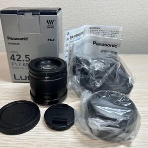 Panasonic LUMIX G 42.5mm/F1.7 単焦点レンズ H-HS043