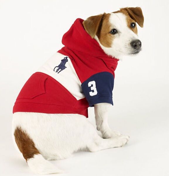 【犬服】超小型犬用 POLO RALPH LAUREN Sサイズ