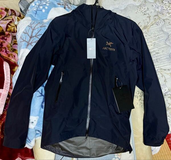 【美品】アークテリクス ゼータSL ジャケット ビームス別注 タグ、バードエイドあり GORE-TEX