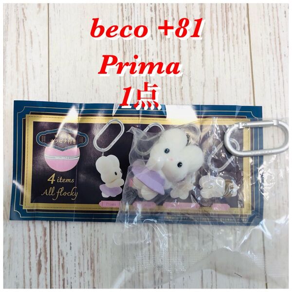 beco +81 フィギュアマスコット 第1弾 カプセル版 Prima
