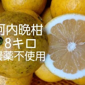 河内晩柑 8キロ 農薬不使用 熊本県天草産