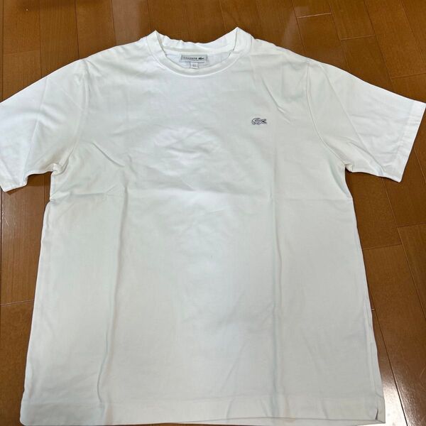 LACOSTE Tシャツ ホワイト L 5 半袖