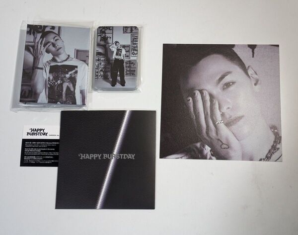 SEVENTEEN バーノン HAPPY BURSTDAY DAREDEVIL バインダー トレカ 24枚 CD アルバム