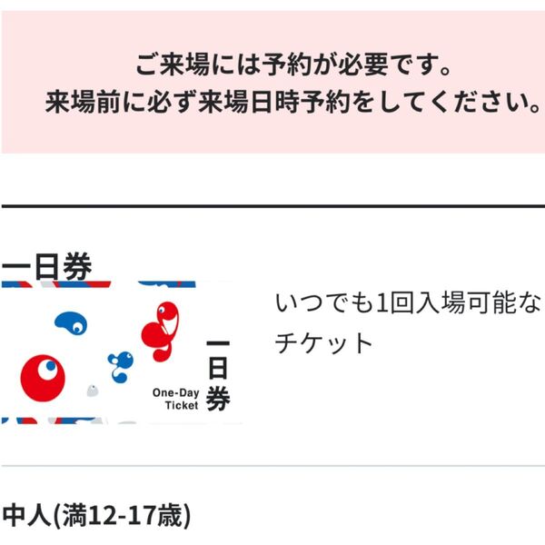 EXPO 2025大阪・関西万博入場チケット 一日券 中人2枚のチケットID