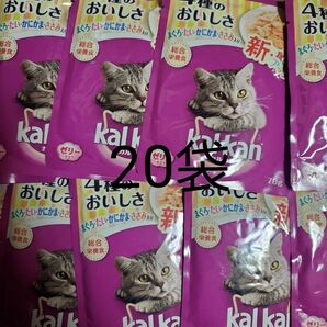 カルカン パウチ 4種のおいしさ まぐろ・たい・かにかま・ささみ入り 70g ×20