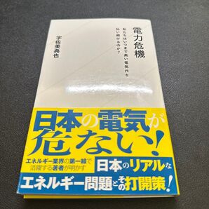 電力危機 私たちはいつまで高い電気代を払い続けるのか? (星海社新書 251) 宇佐美典也/著