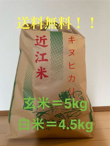 令和6年産 滋賀県産キヌヒカリ 5キロ