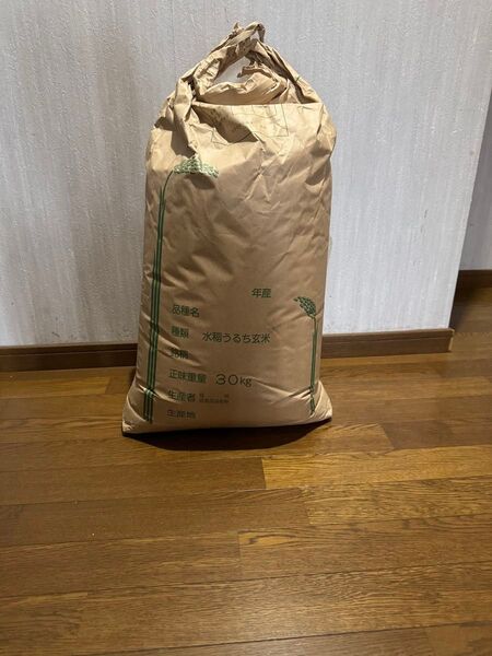★R6年新米★ 静岡県産キヌヒカリ 玄米 29.5㎏