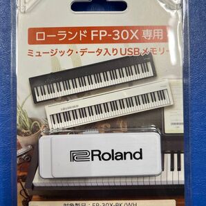 Roland FP-30X専用 ミュージック データ入りUSBメモリー