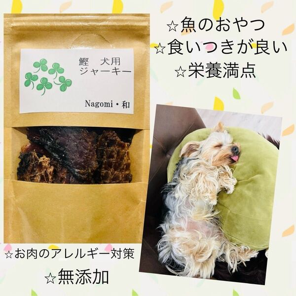 犬用 ジャーキー 無添加 かツオ 低アレルゲン 50g 魚のおやつ