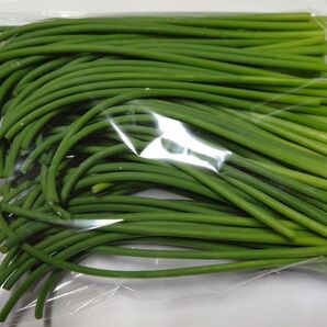 期間限定 長崎県産 ニンニクの芽 500g