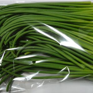 期間限定 長崎県産 ニンニクの芽 500g