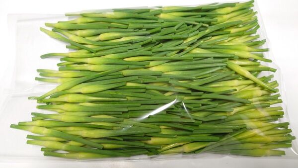 長崎県産 にんにくの蕾 500g