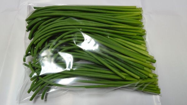 期間限定 長崎県産 ニンニクの芽 500g