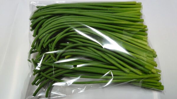 5月24日販売終了 長崎県産 ニンニクの芽 500g