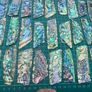 アバロン貝 ニュージーランドアワビ貝 5枚セット 螺鈿細工 ハンドメイド ハンドクラフト 素材