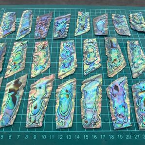 アバロン貝 ニュージーランドアワビ貝 5枚セット 螺鈿細工 ハンドメイド ハンドクラフト 素材