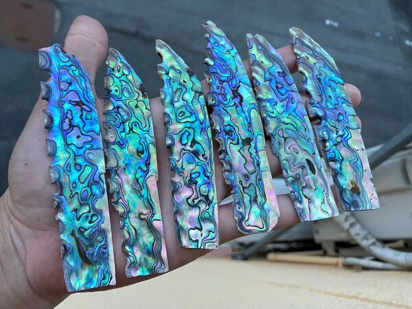 アバロン貝 ニュージーランドアワビ貝 6枚 美品 虫喰いなし ネイル用シェルパーツ ハンドクラフト ハンドメイド 螺鈿細工